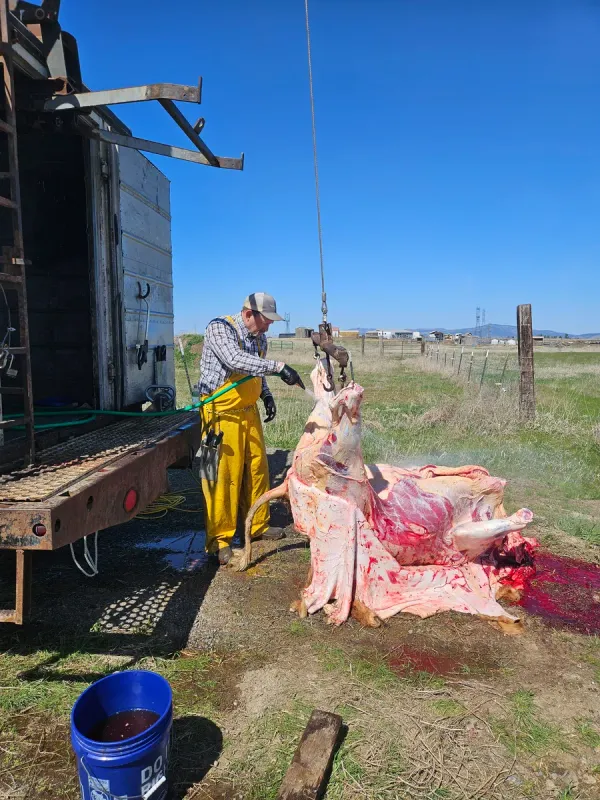 On-farm mobile slaughter service